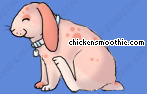 Chicken Smoothie - Seite 6 Image