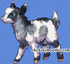 http://static.chickensmoothie.com/archive/image.php?k=957AC8E5030B3AEF0889C7330EBCD0AD&bg=6189da