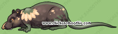 Chicken Smoothie - Seite 9 Image