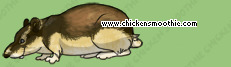 Chicken Smoothie - Seite 15 Image