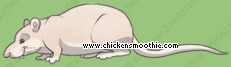 Chicken Smoothie - Seite 6 Image