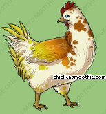 Chicken Smoothie - Seite 12 Image