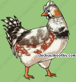 Chicken Smoothie - Seite 9 Image