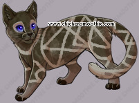 Pet