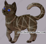 Pet