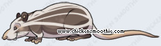 image.php?k=C796C084DF2FAF967BF2E7B0912CBCDF&bg=e6ebf2