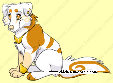 Pet