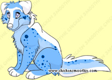 Pet