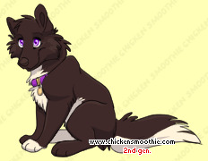 Pet