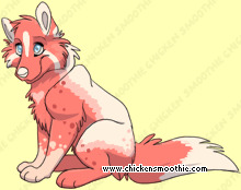Pet