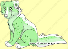 Pet