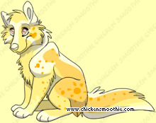Pet