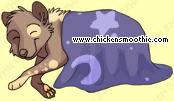 Pet