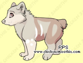 Pet