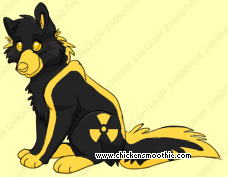 Pet
