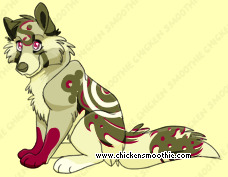 Pet