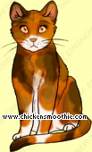 Pet