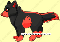 Pet