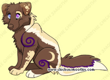 Pet