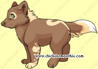 Pet