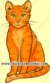 Pet