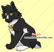 Pet