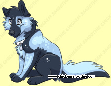 Pet