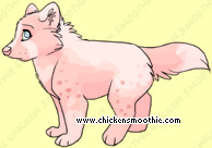 Pet