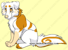Pet