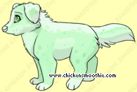 Pet