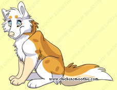 Pet