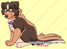 Pet