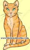 Pet