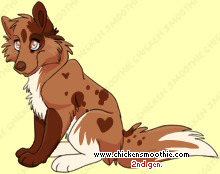 Pet