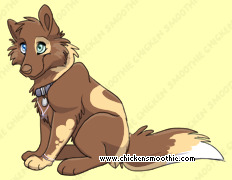 Pet