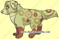 Pet