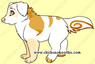 Pet