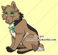 Pet