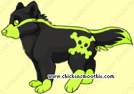Pet