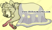 Pet