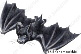 image.php?k=1A71CD9371E7889AA5A0AA12A1EB9E30&bg=ffffff