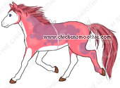 image.php?k=25CAEE82C90D10F6FADE44208D1EB6F6&bg=ffffff