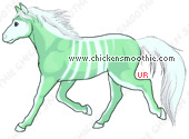 image.php?k=DD25D81E3807DA393F7A42091AC303FE&bg=ffffff