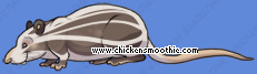 Chicken Smoothie - Seite 10 Image