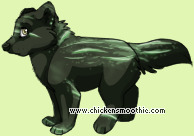 Pet