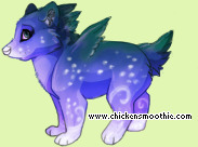 Pet