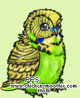 http://static.chickensmoothie.com/pic.php?k=916FBAD8D6D7D293219D797C72F13462&bg=e0f6b2
