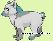 Pet