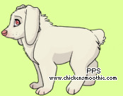 pic.php?k=CEDA50FA9C14A5C21E9D7F18D0C41B20