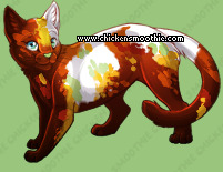 Pet